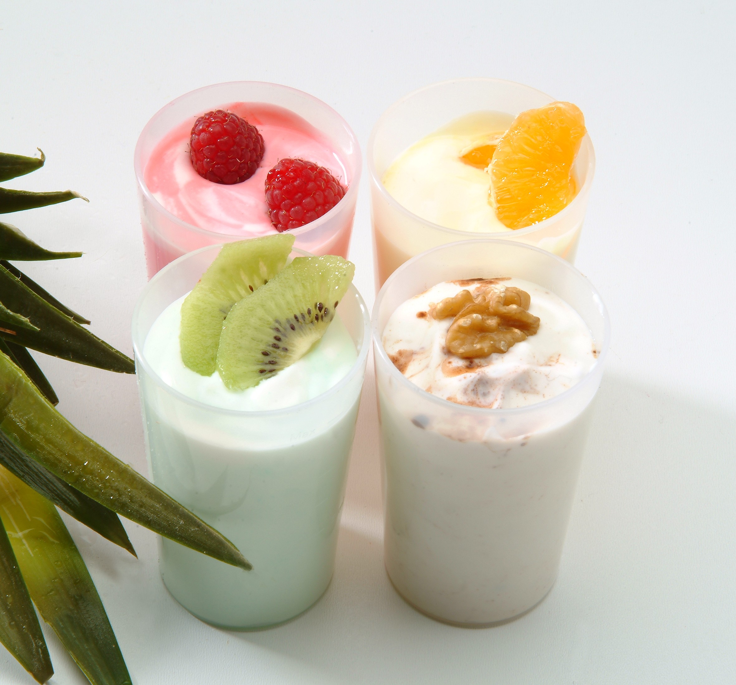 Steba Yoghurtmaker Hvid